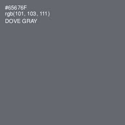 #65676F - Dove Gray Color Image